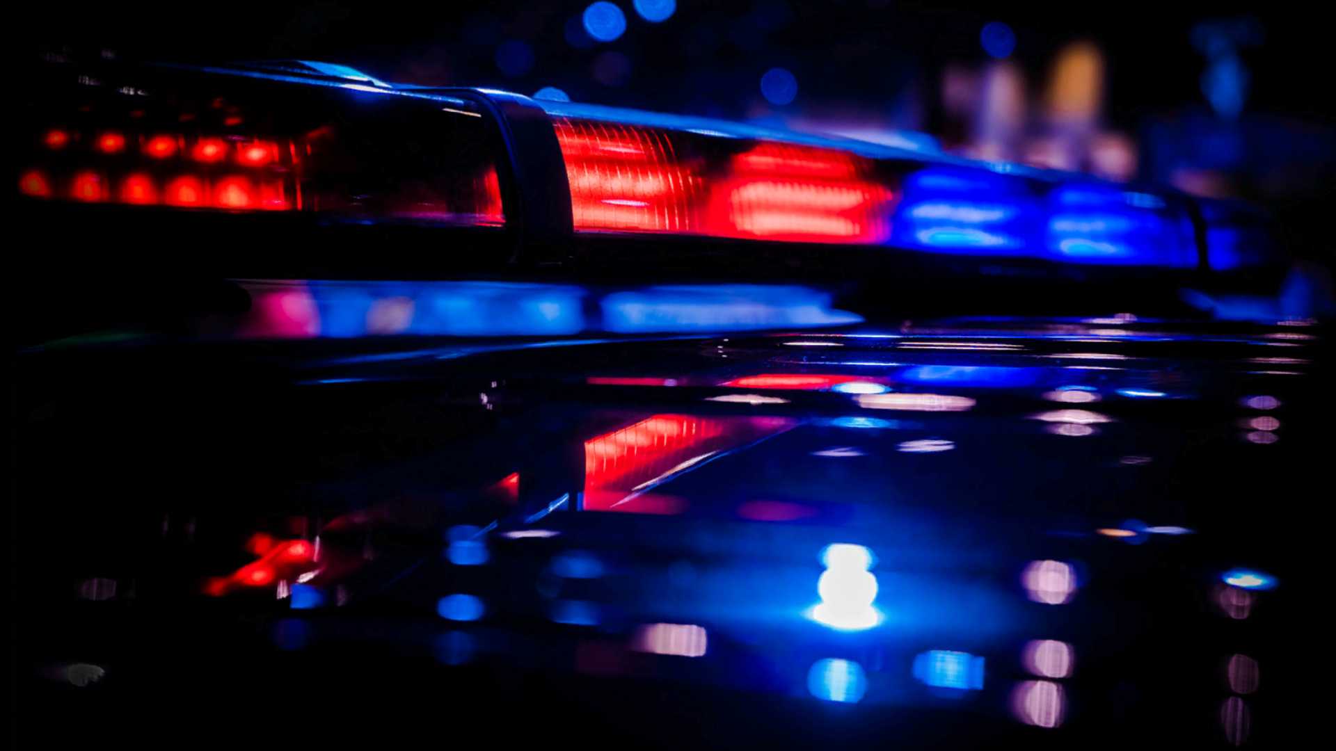 Palm Beach County arrest turns violent during deputies' response — Vero Beach Community news