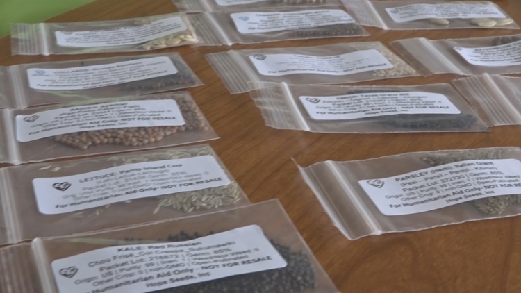 Bradenton nonprofit sends seeds to aid Jamaican families' recovery from Hurricane Melissa — Vero Beach Community news